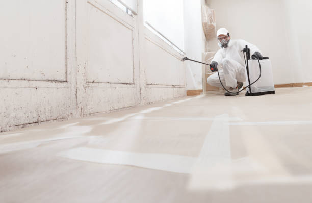 24/7 Emergency Mold Remediation experts in Rogers, TX