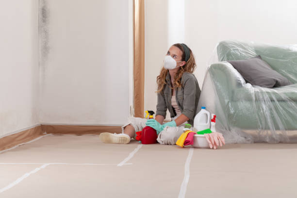Reliable Mold Remediation contractor in Rogers, TX by Mold Remediation HQ